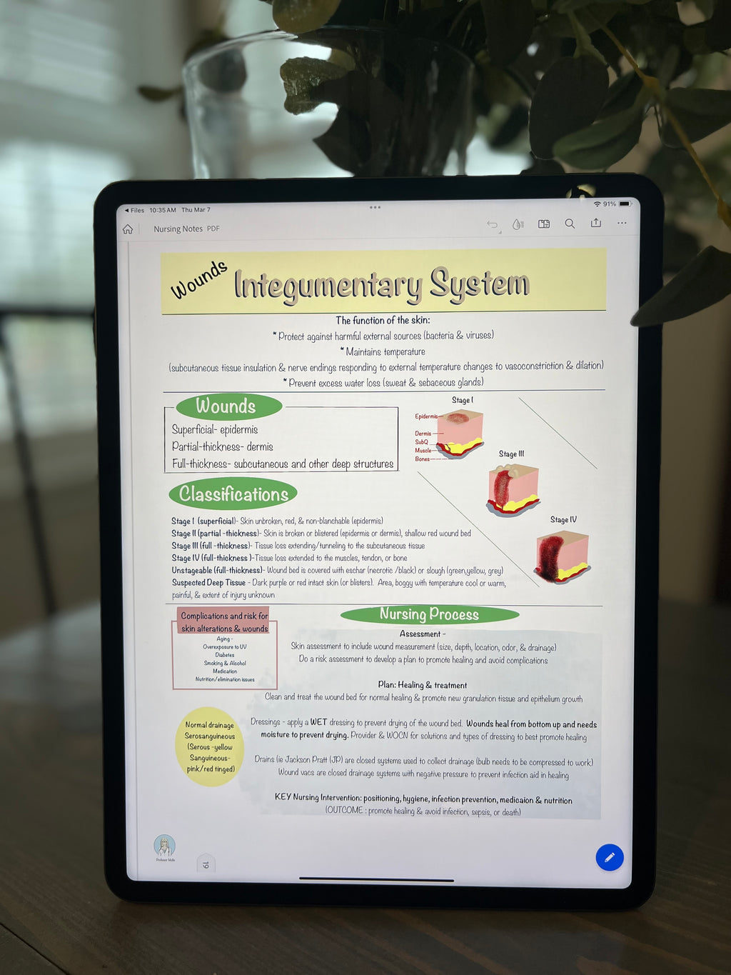 Nursing School Notebook (Digital)