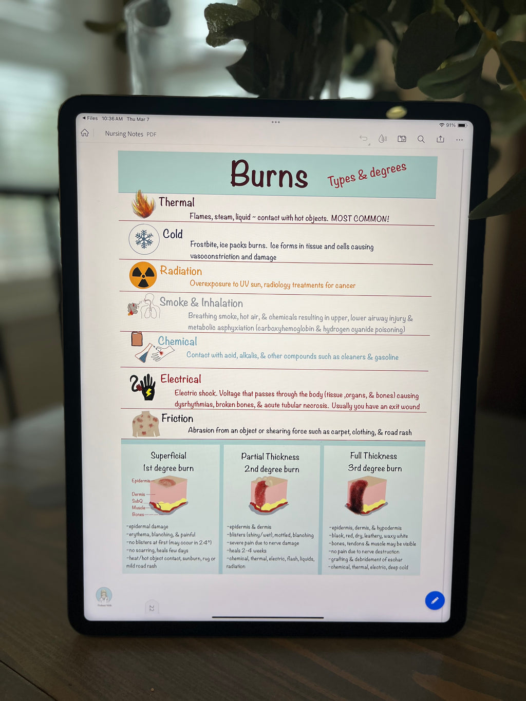 Nursing School Notebook (Digital)