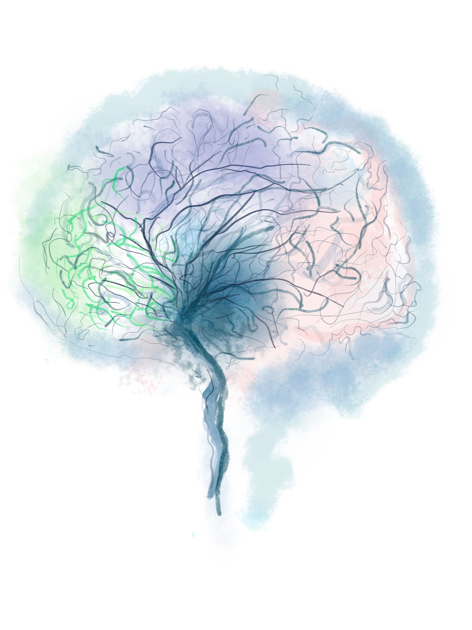 Anatomy Art Sticker Set