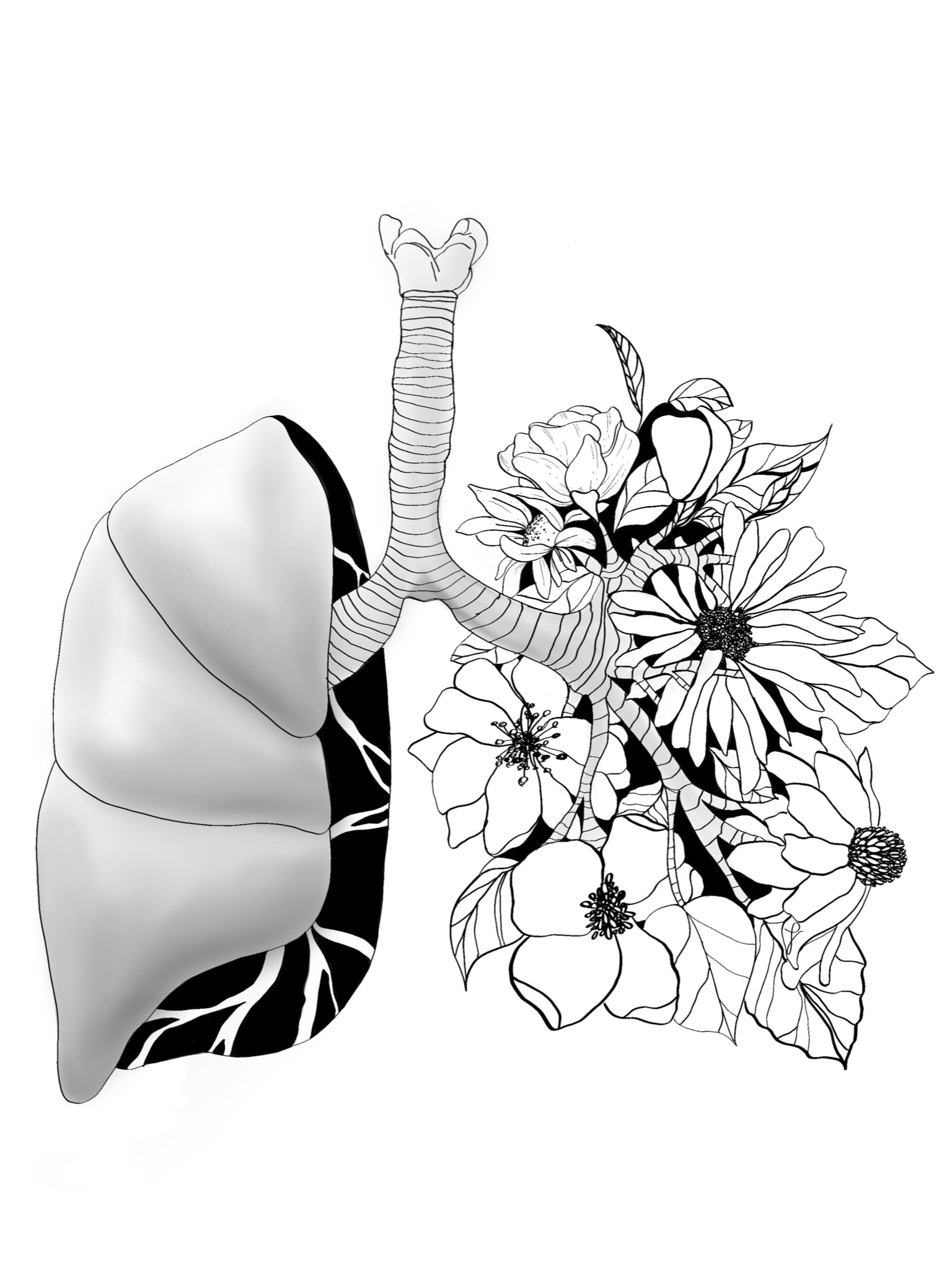 Anatomy Art Sticker Set