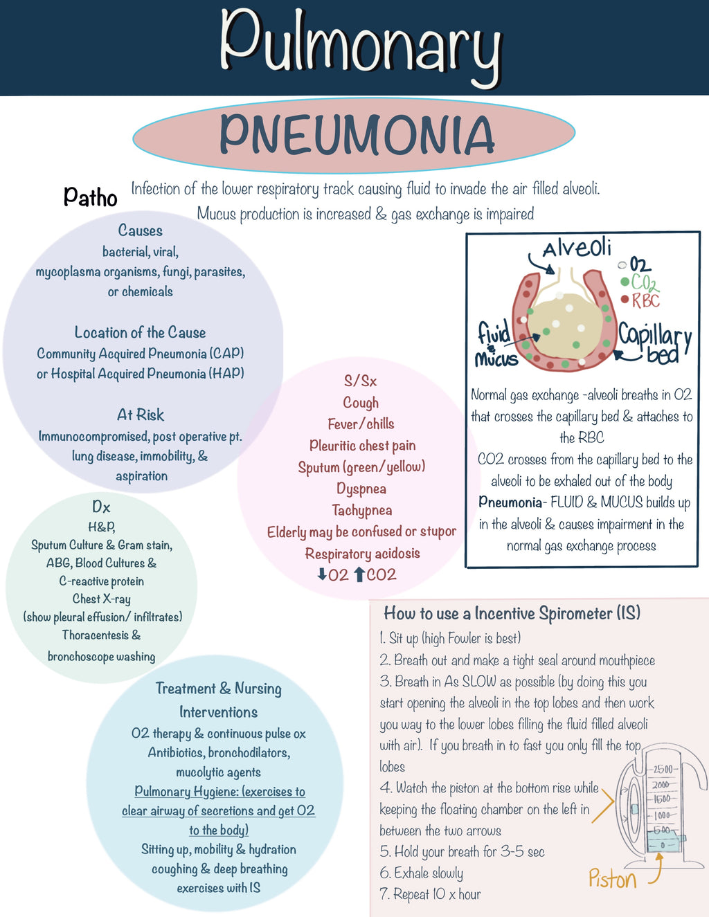 Nursing School Notebook (Digital)