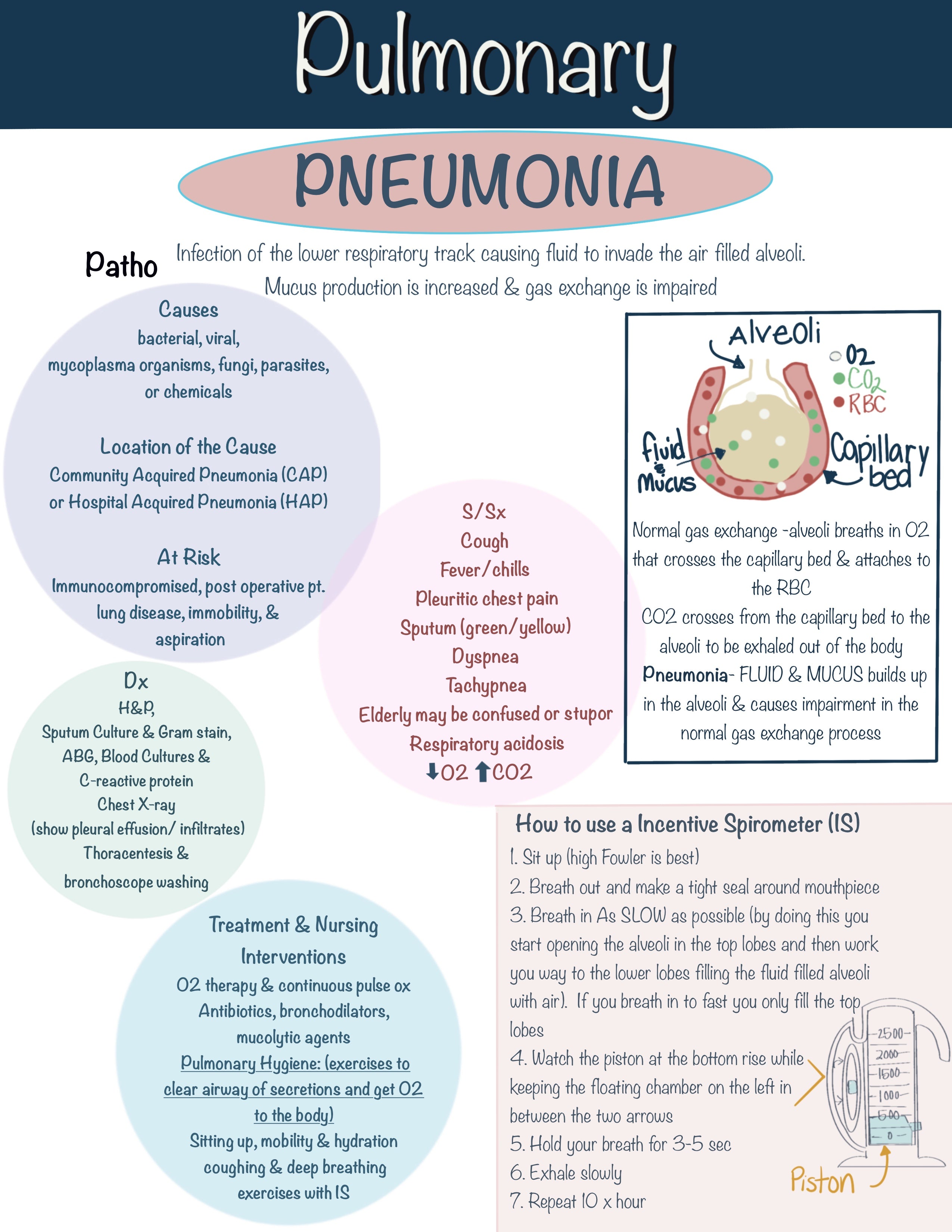 Nursing School Notebook (Digital)