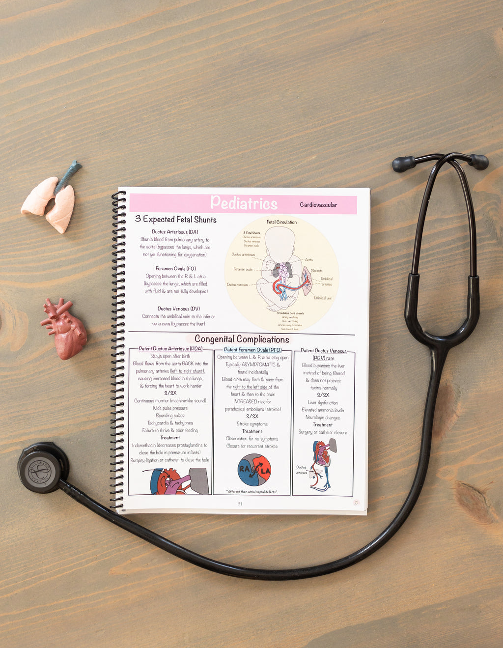 (Digital) Maternity/Newborn & Pediatrics Nursing Notes