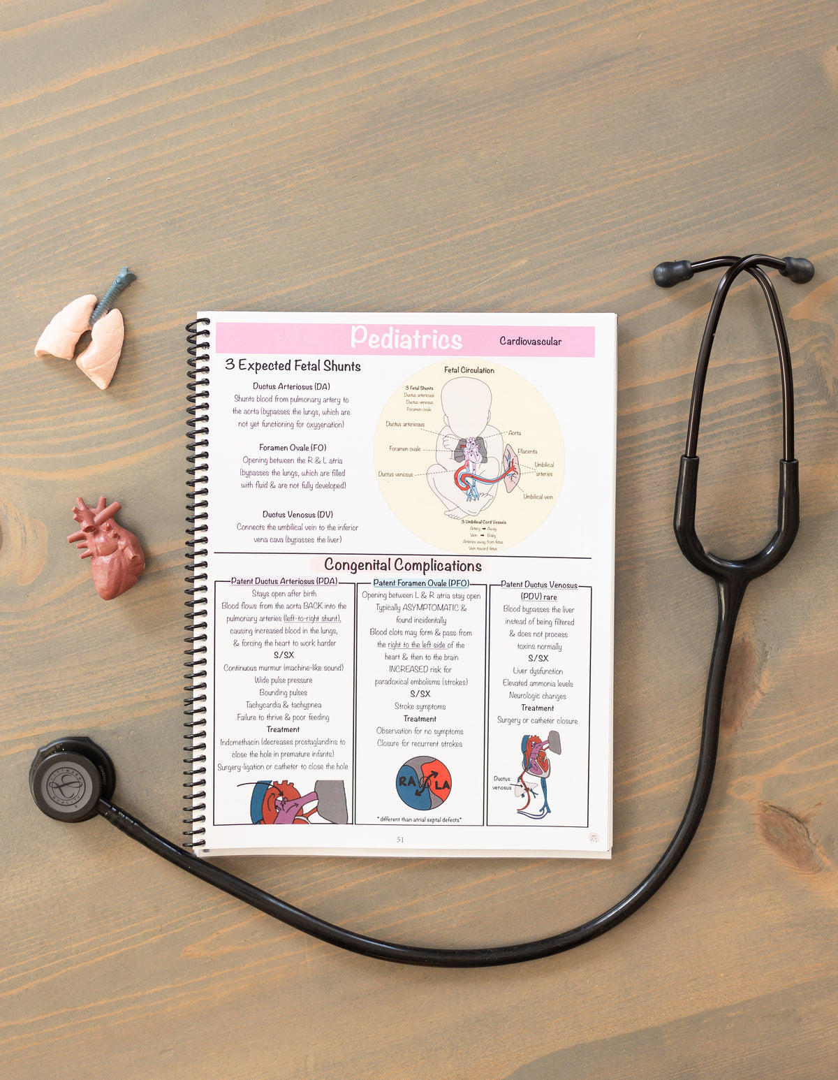 (Digital) Maternity/Newborn & Pediatrics Nursing Notes