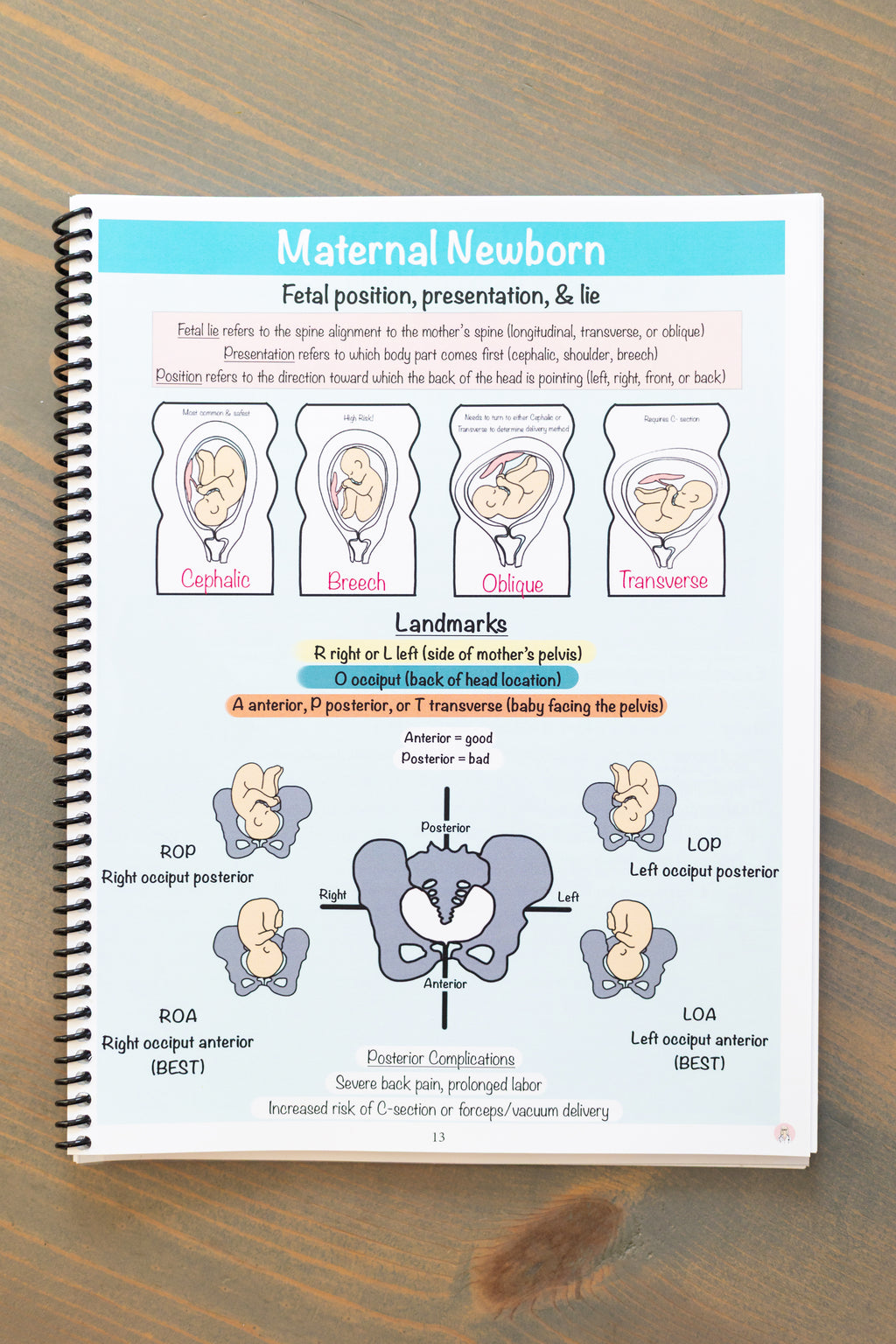 (Digital) Maternity/Newborn & Pediatrics Nursing Notes