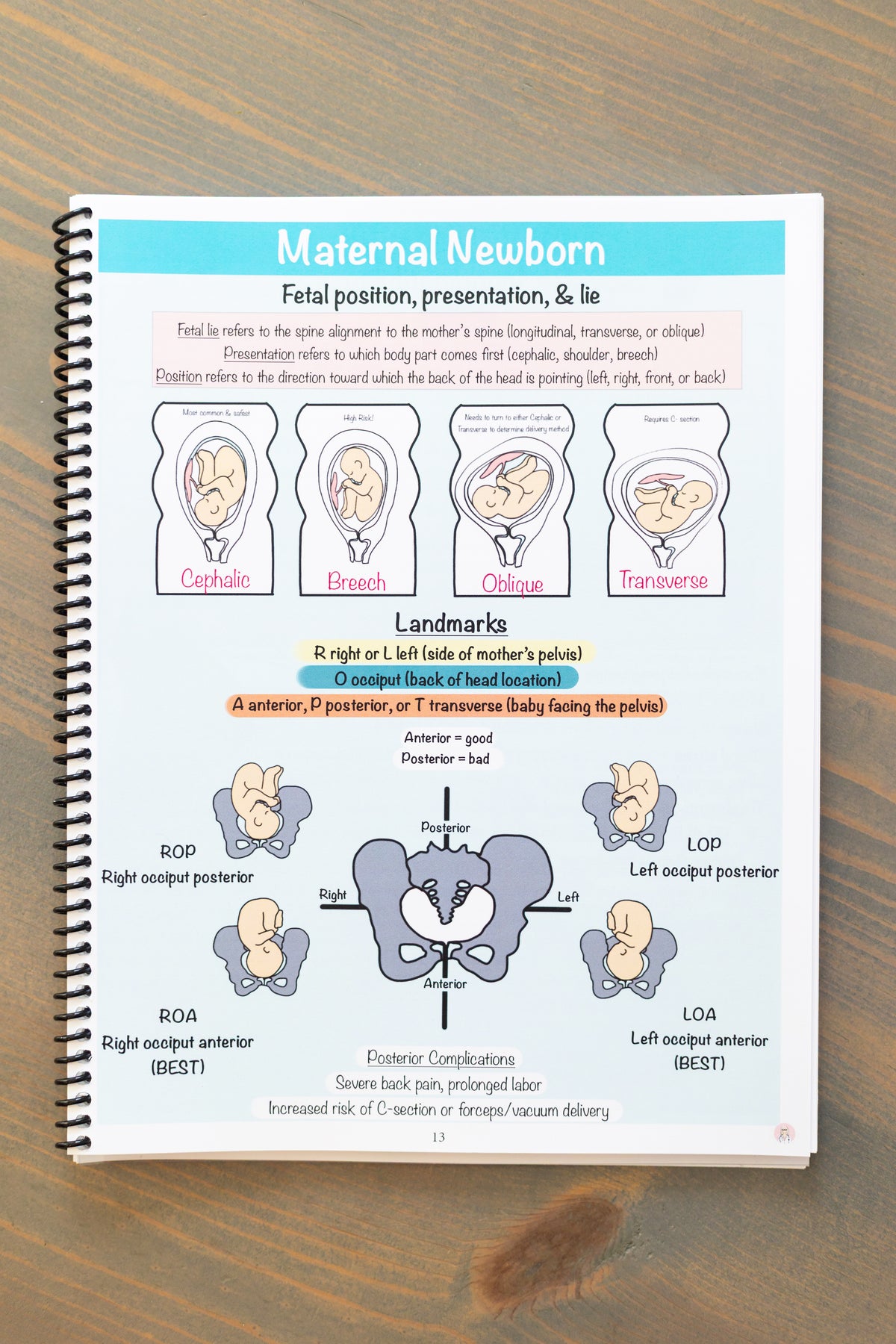 (Digital) Maternity/Newborn & Pediatrics Nursing Notes
