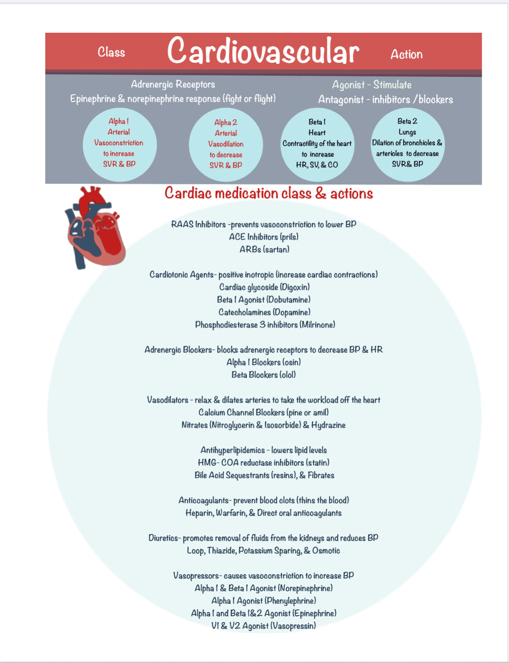 Nursing Notebooks Bundle (Spiral)