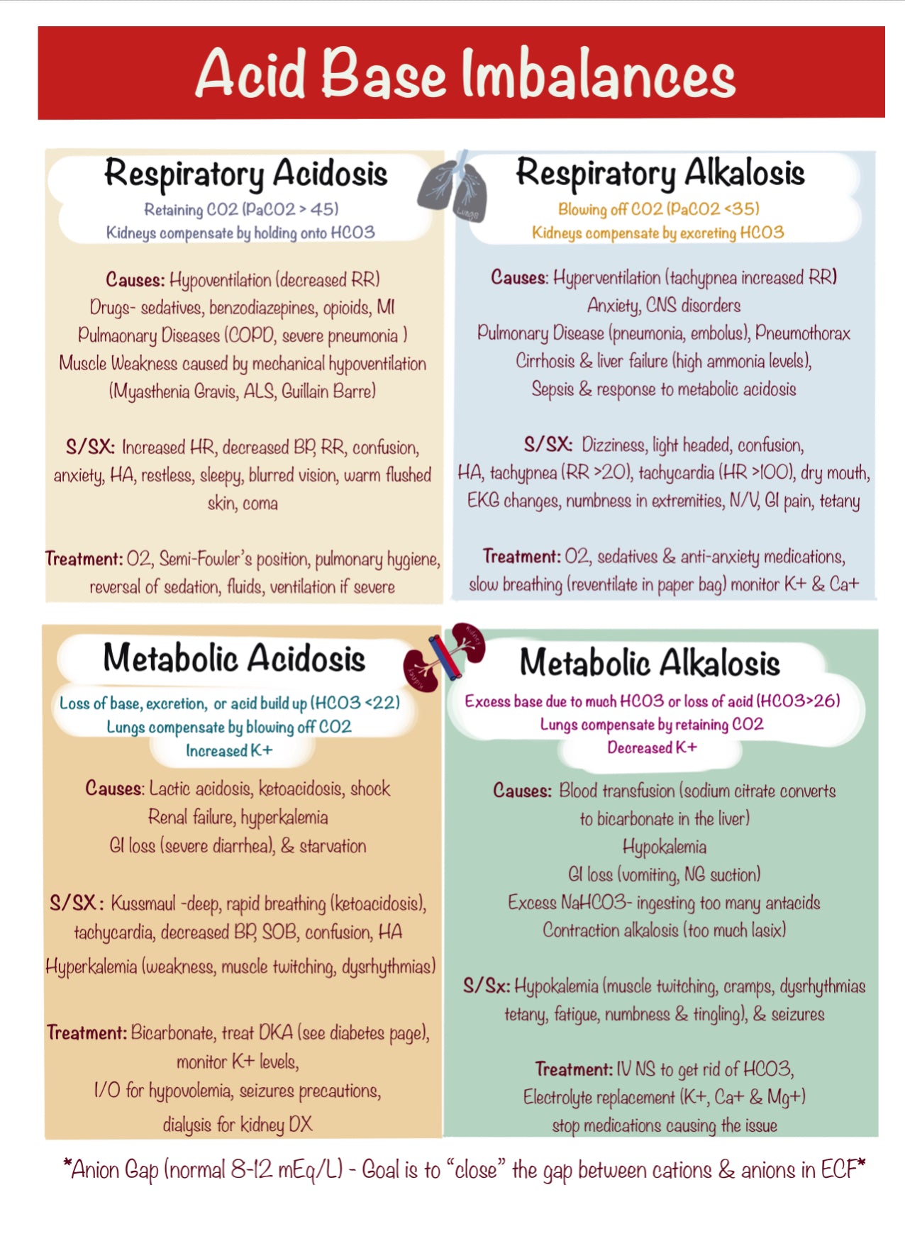 Nursing School Notebook (Spiral)