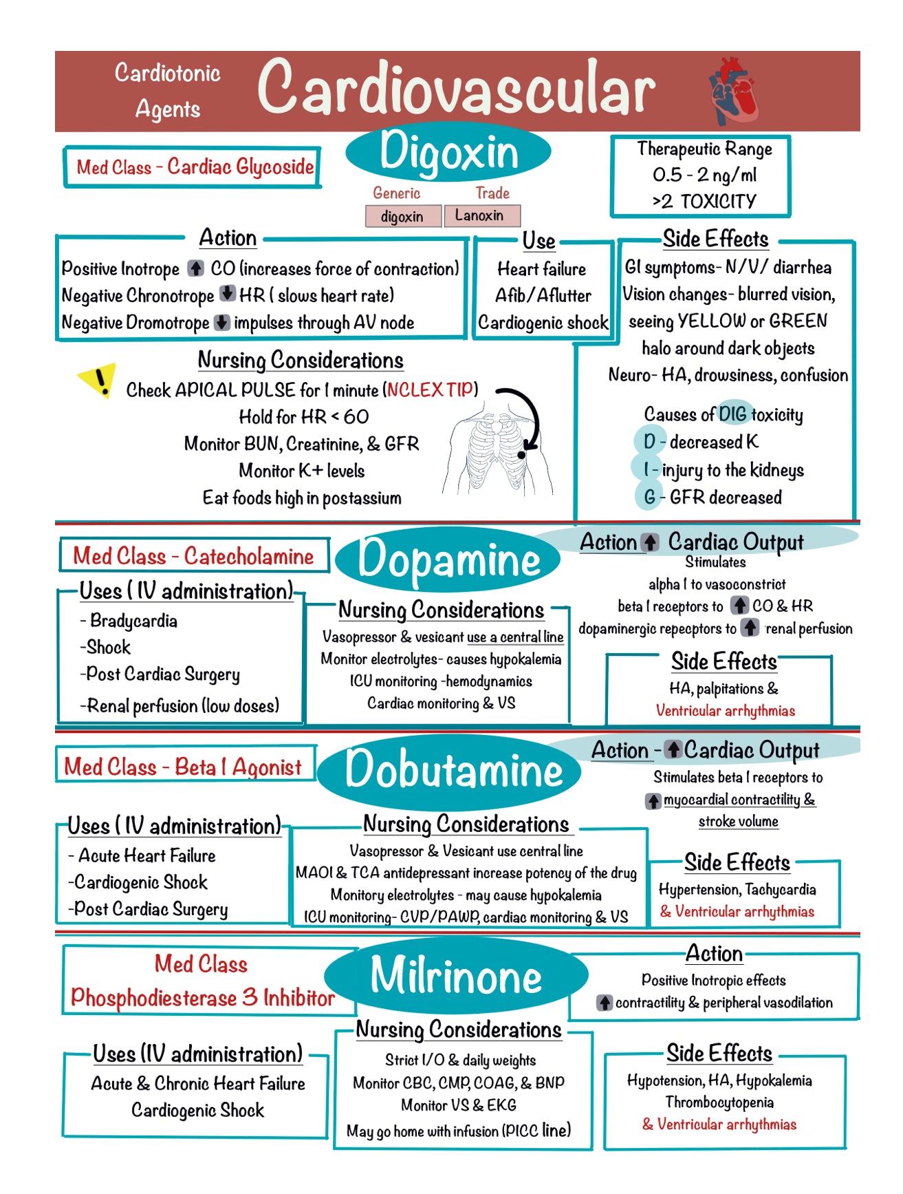 Pharmacology Success Notebook