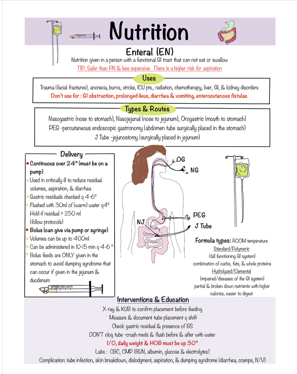 Ultimate Nursing Study Bundle