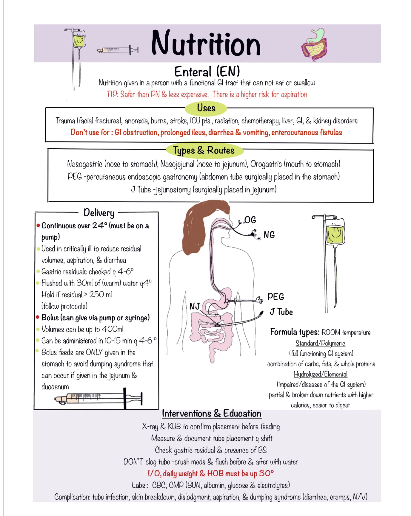 Ultimate Nursing Study Bundle