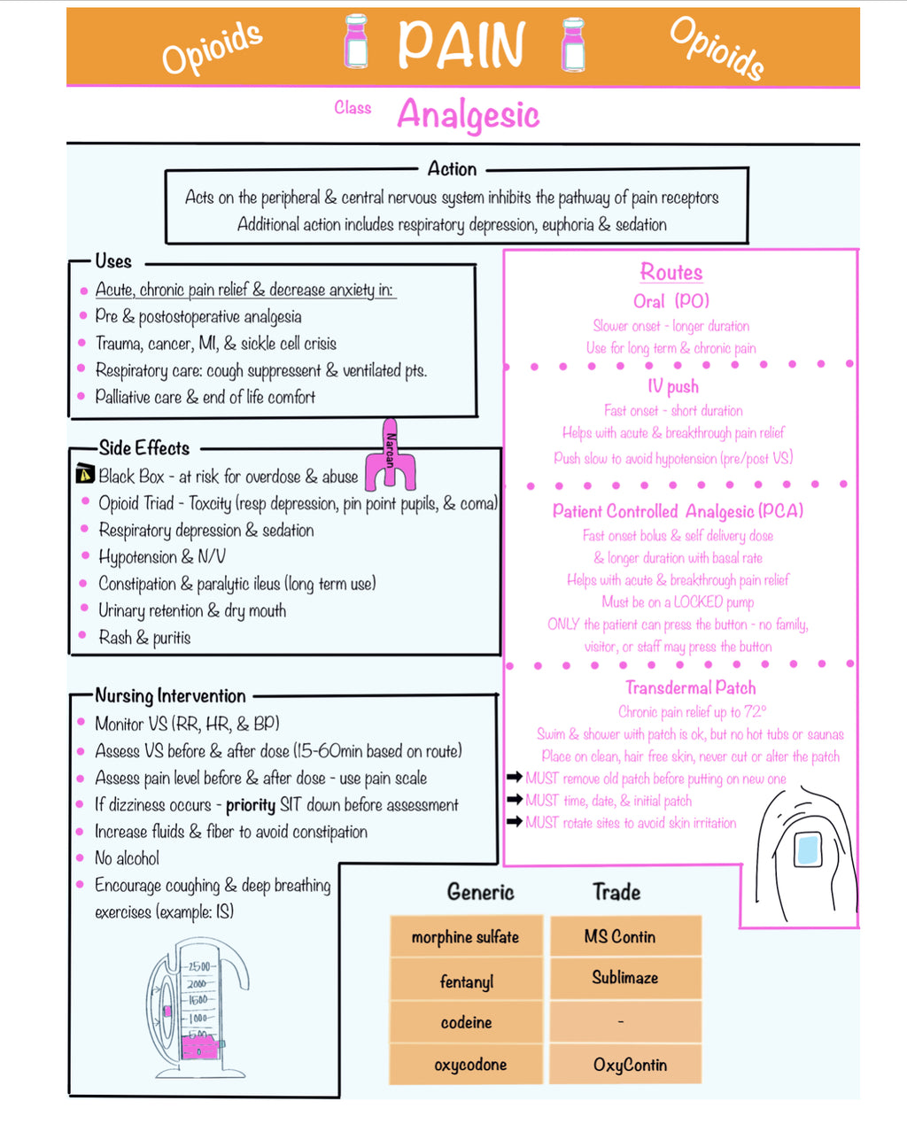 Ultimate Nursing Study Bundle