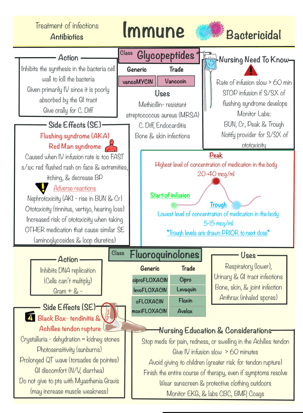 Ultimate Nursing Study Bundle