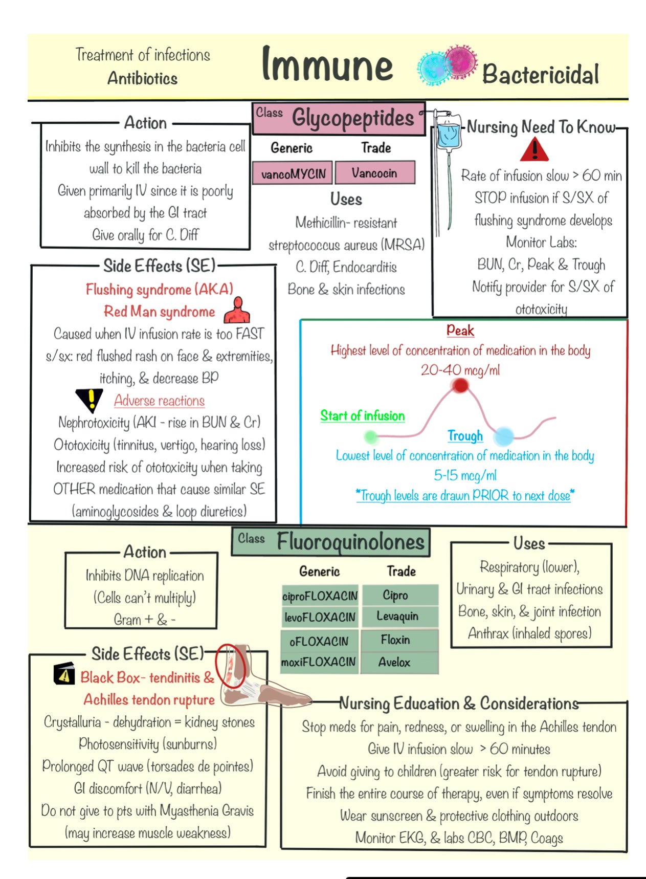 Ultimate Nursing Study Bundle