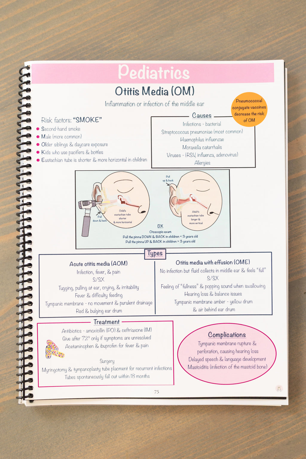 Maternity/Newborn & Pediatrics Nursing Notes