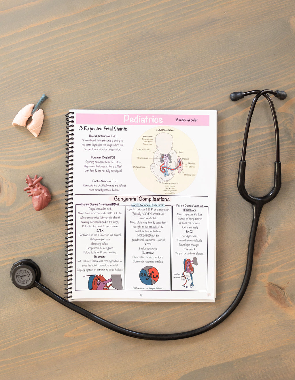 Maternity/Newborn & Pediatrics Nursing Notes