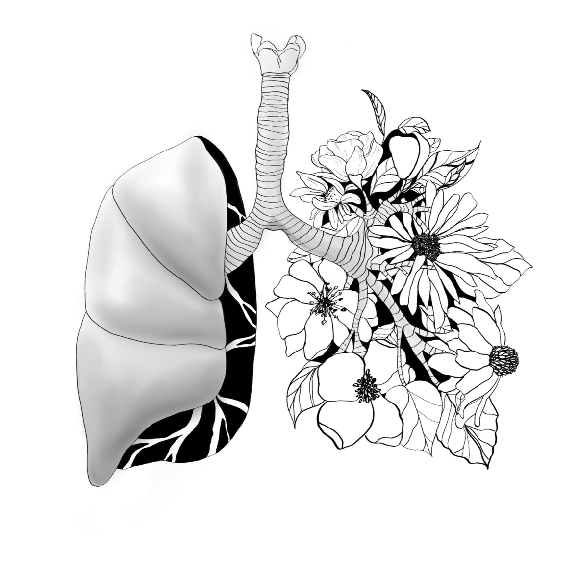 Anatomy Art Collection (Printable & Digital)