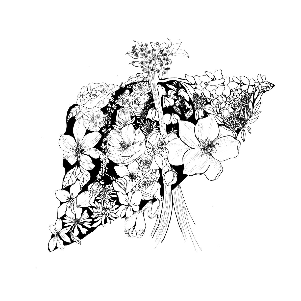 Anatomy Art Collection (Printable & Digital)